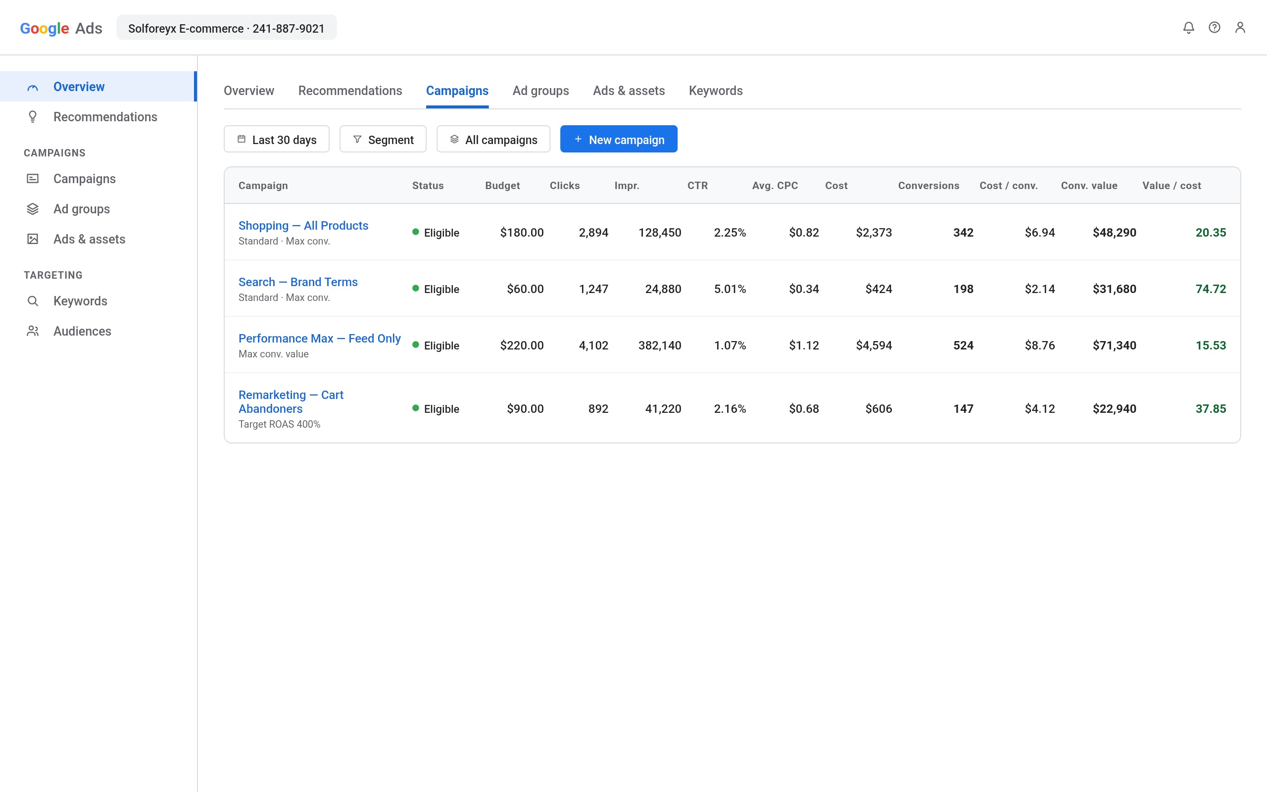 Google Ads campaign for e-commerce store by Solforeyx — search, shopping and remarketing portfolio